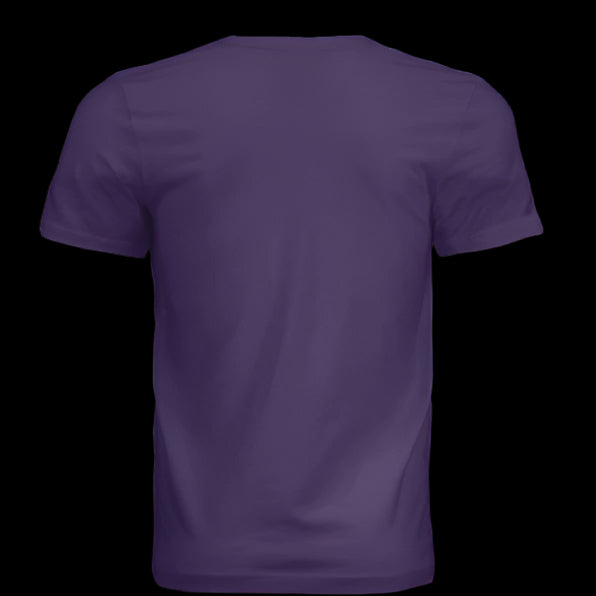 Solid Team Purple Triblend - BACK