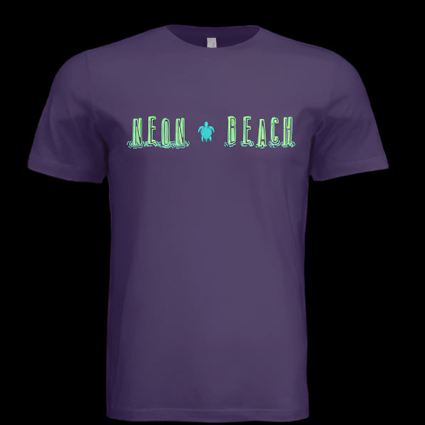 Solid Team Purple Triblend - FRONT